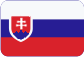 Ice-hockey puck Slovensky
